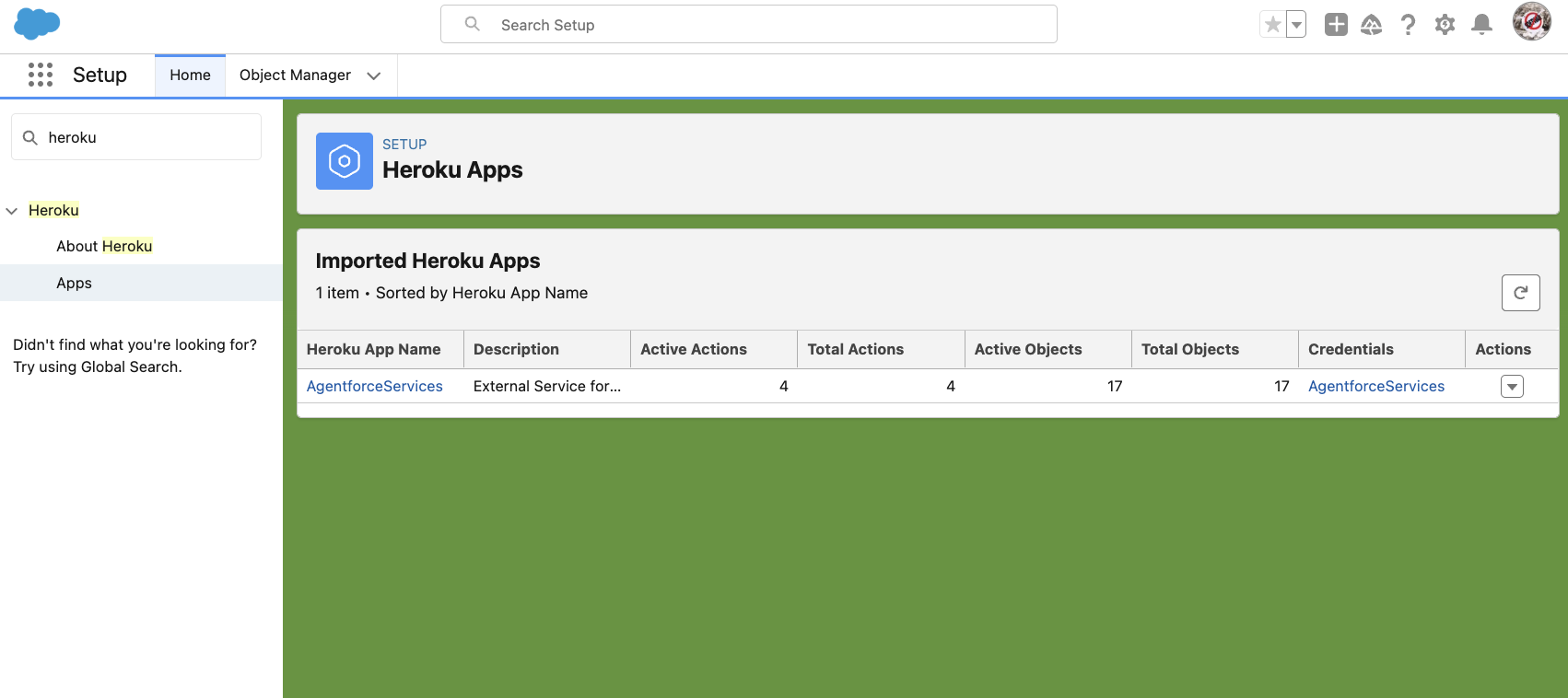 Heroku App in Setup